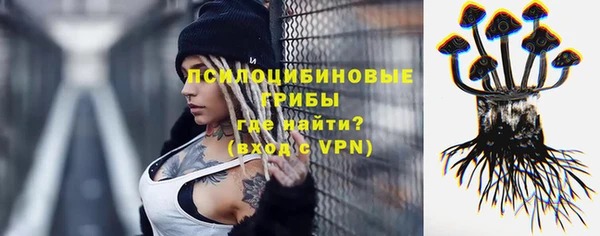 mdpv Лабытнанги
