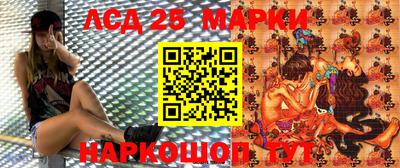 mdpv Кандалакша