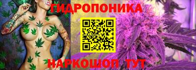 наркотики Камышлов