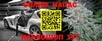 mdpv Кандалакша