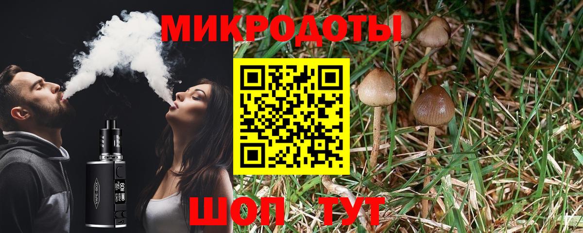 Псилоцибиновые грибы ЛСД  Вход с VPN  Южноуральск  Псилоцибиновые грибы Psilocybine cubensis 